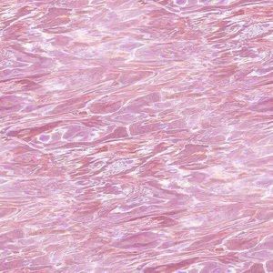 Meet your Posher, Eva